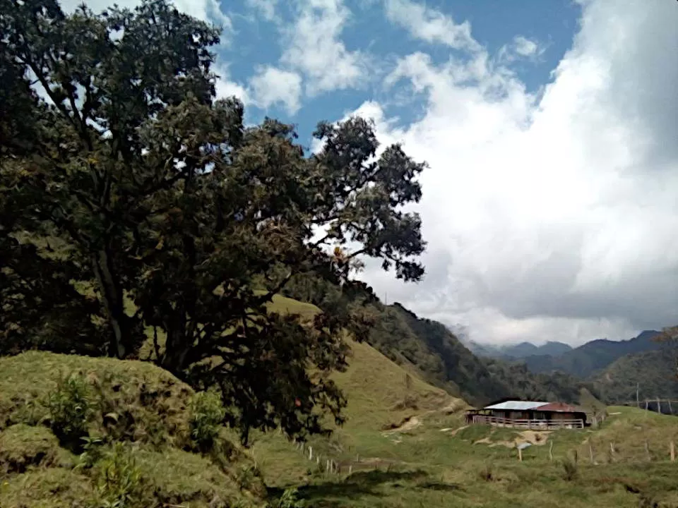 Fotografía del paisaje montañoso de Casabianca, Tolima, mostrando casas de arquitectura colonial antioqueña con tejados rojos, rodeadas de vegetación verde y neblina en las montañas de la Cordillera Central.